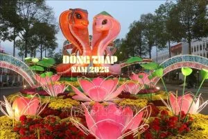 205318 Dong Thap 25125 1